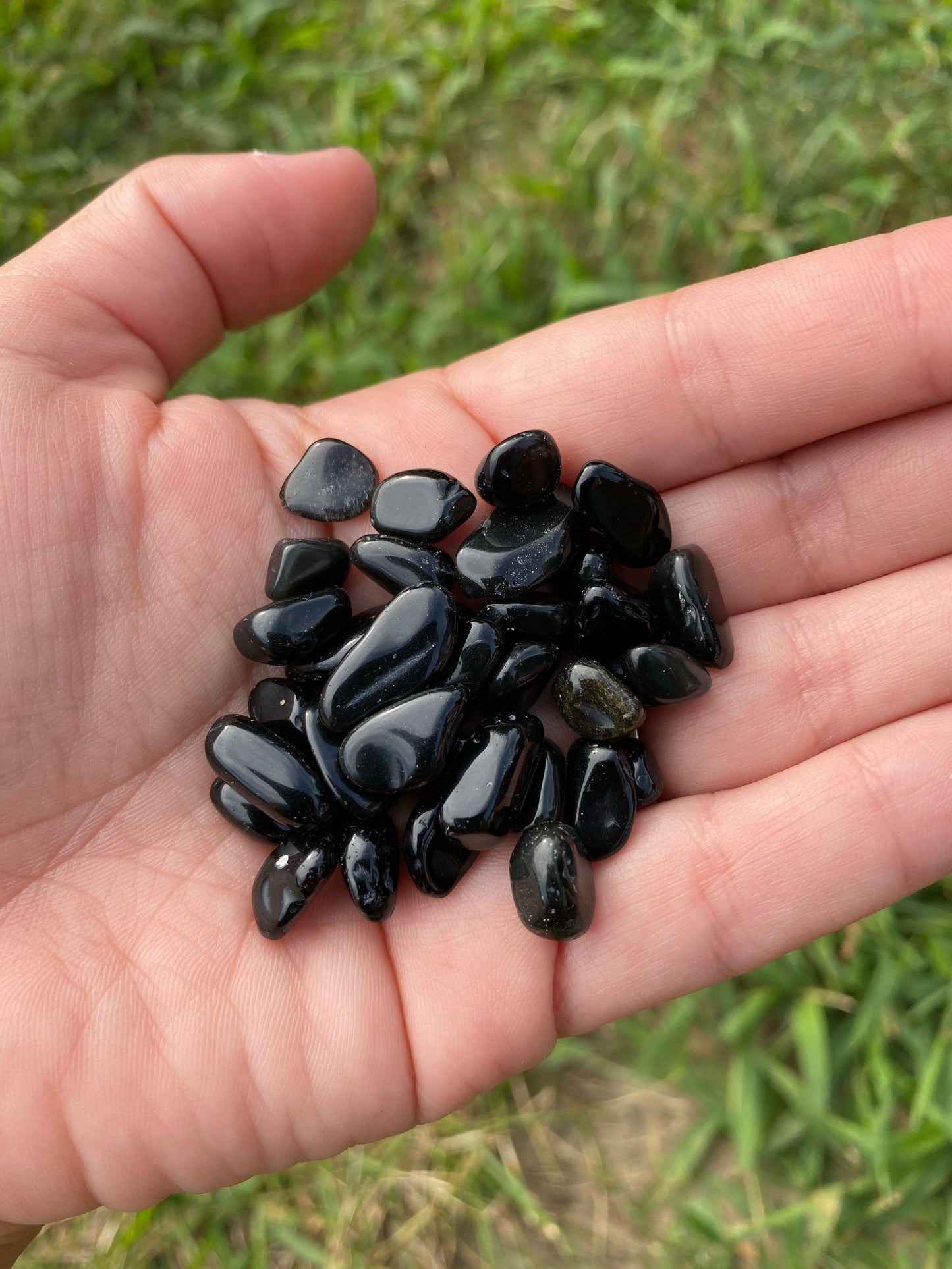 Black Obsidian Chips