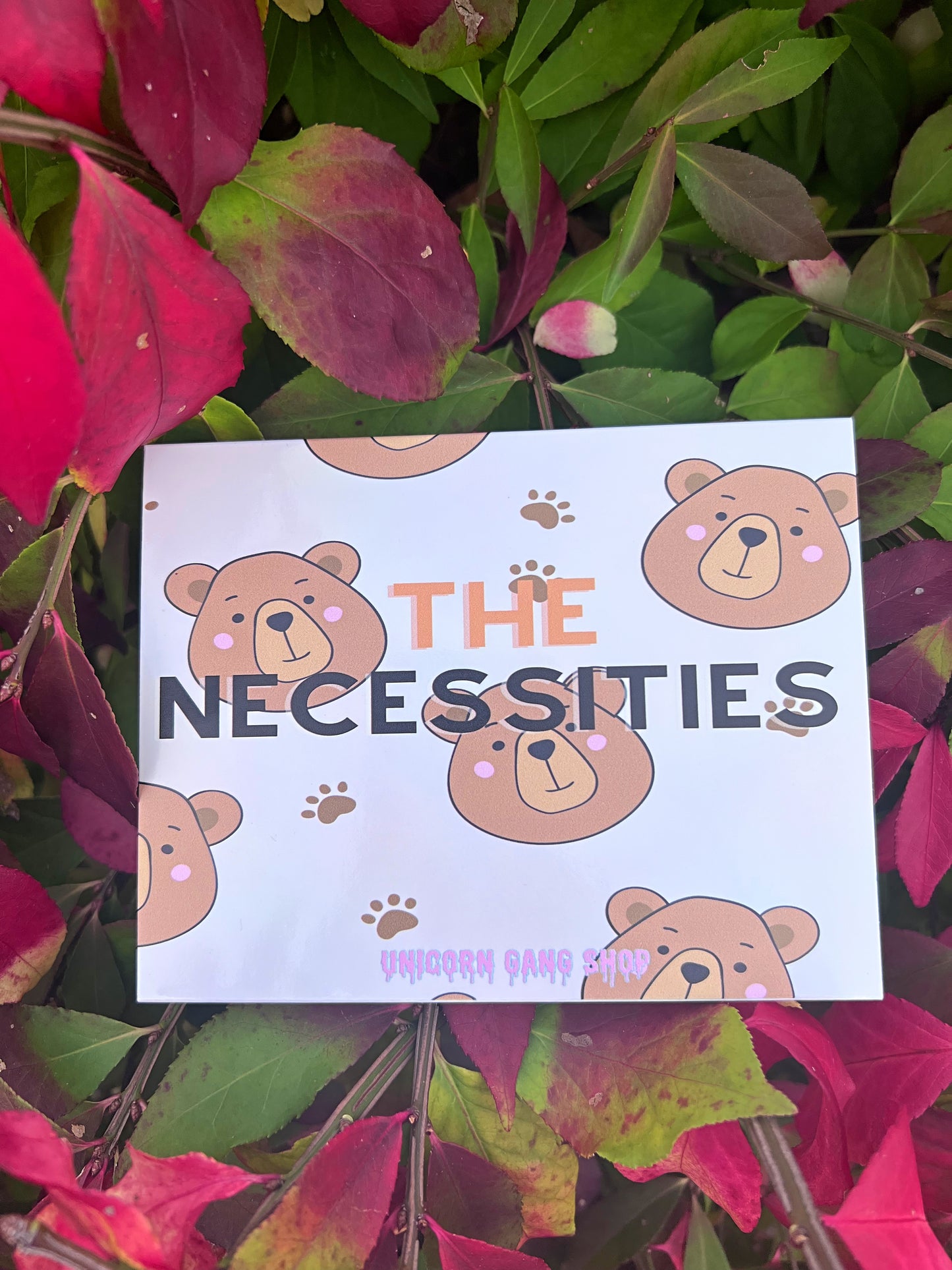 The Necessities Palette