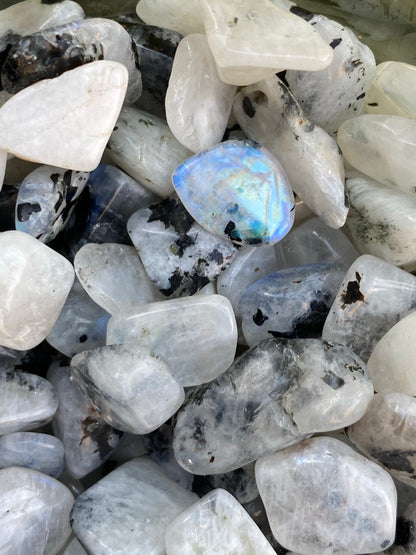 Rainbow Moonstone Chips