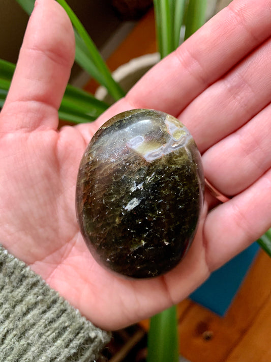 Forest green apatite palm stone
